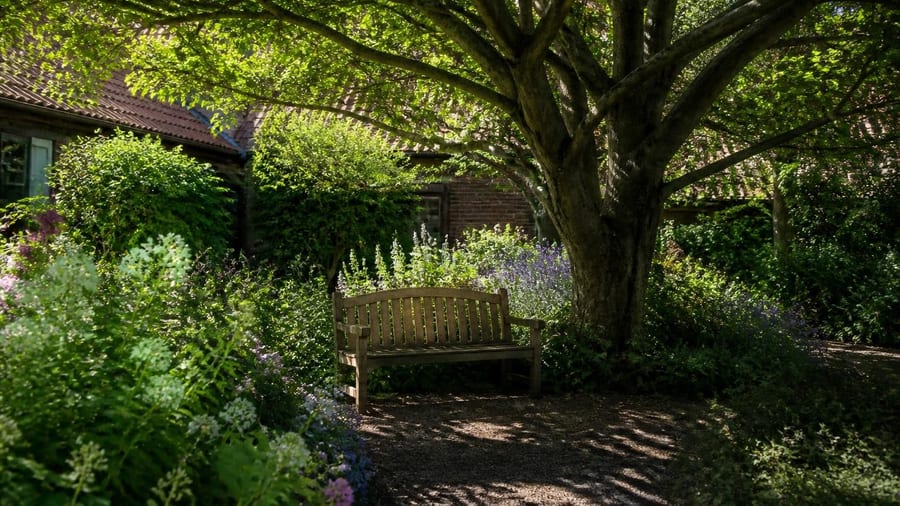 Bomen van onschatbare waarde voor tuin én de rest van de stad: ‘Ze maken het leven prettig’