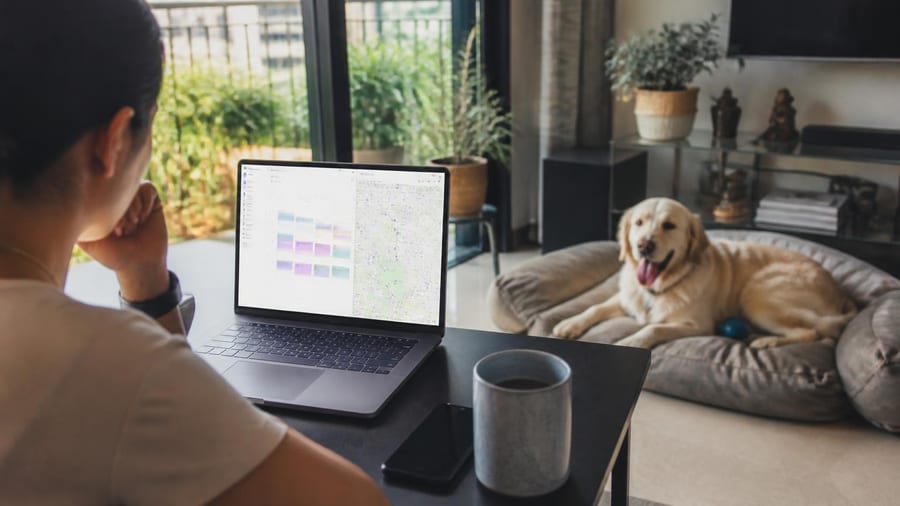 In Bangalore wordt de zorg voor de hond steeds vaker uitbesteed aan een app: ‘Een huisdier past alleen in…