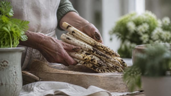 Onweerstaanbaar lekker: deze krokante witte asperges zijn de hit van het seizoen