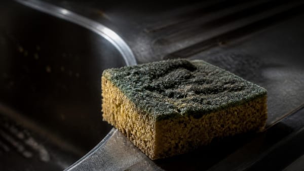 Vergeet de toiletpot: wetenschappers wijzen een verrassend ander huishoudelijk voorwerp aan als bacteriehaard nummer …