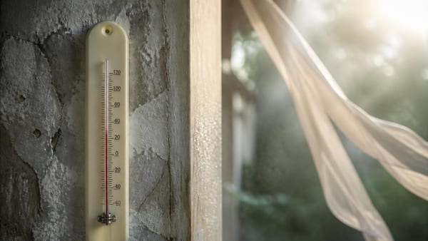 De thermometer vertelt niet het hele verhaal. Ontdek waarom luchtvochtigheid en wind net zo belangrijk zijn als grade…