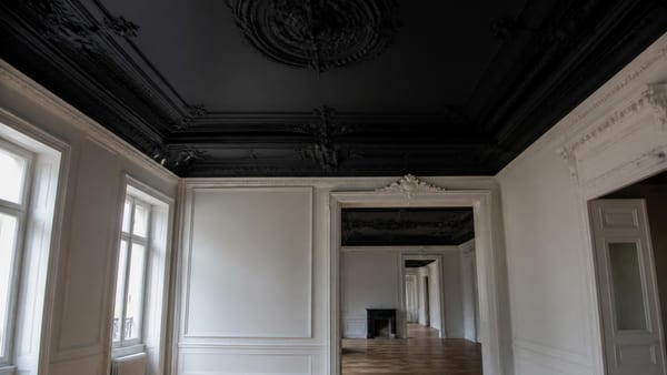 Zwarte plafonds brengen drama en diepte in historische interieurs. Ontdek hoe deze gedurfde keuze negentiende-eeuwse …